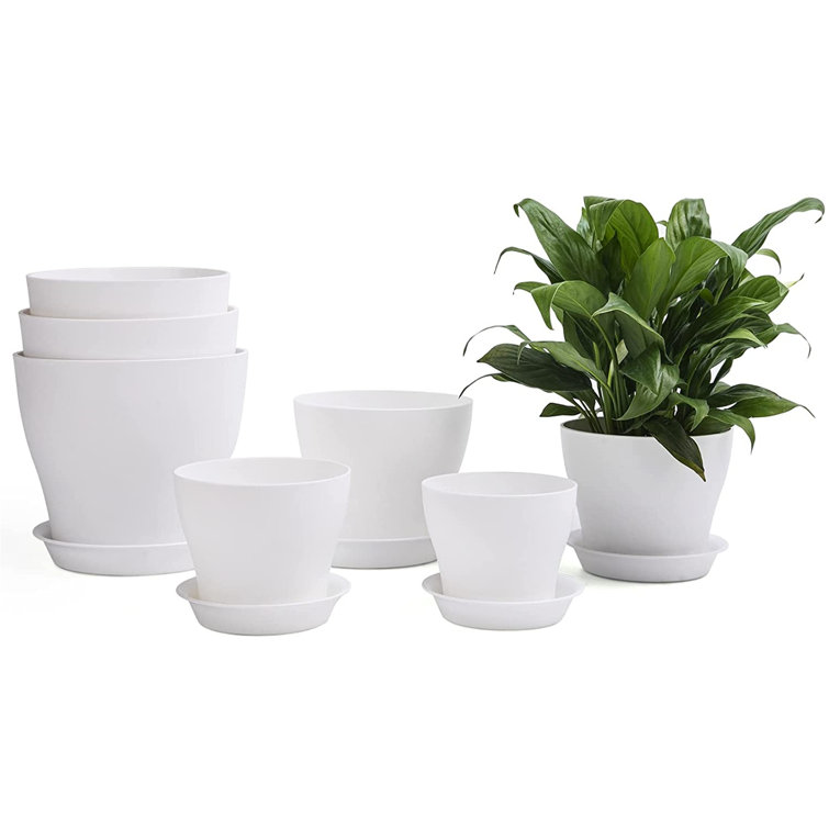 Red Barrel Studio® Plastic Plant Pots Set Of 7, Indoor Outdoor Flower